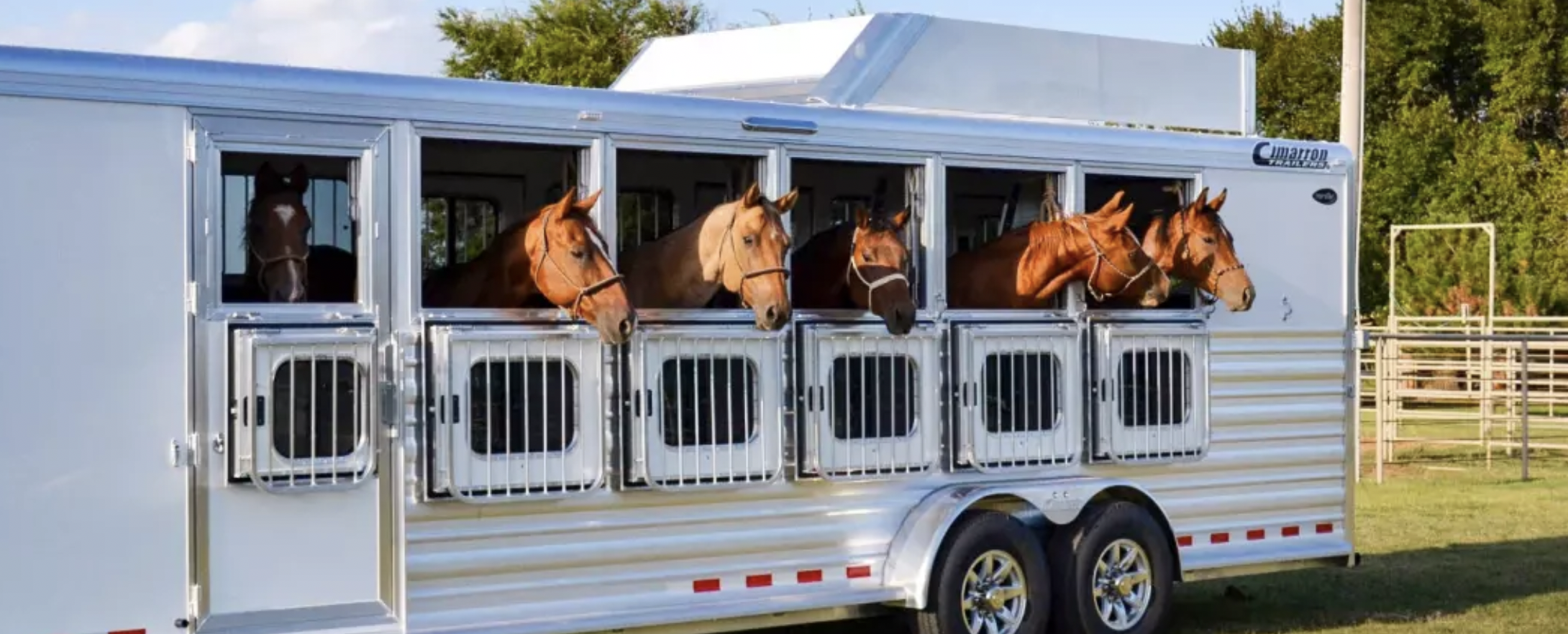 Horse Trailer Insurance: Do You Really Need It?